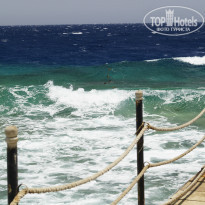 фото из отзыва ID 1180456