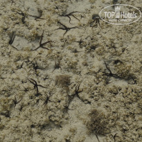 фото из отзыва ID 1180456