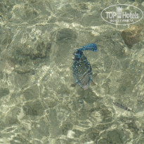 фото из отзыва ID 1180456