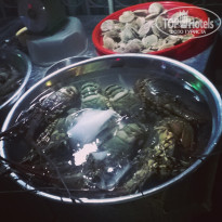 фото из отзыва ID 1180514