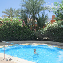 фото из отзыва ID 1180550