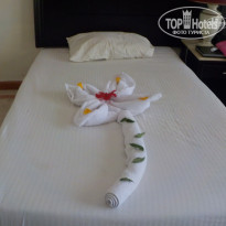 фото из отзыва ID 1180590