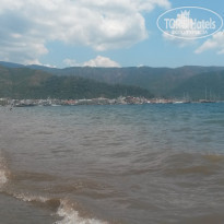 фото из отзыва ID 1180601