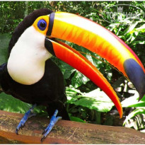 фото из отзыва ID 1180696