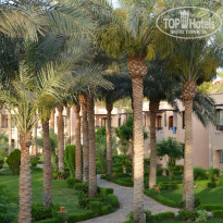 фото из отзыва ID 1180816