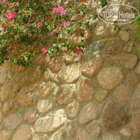 фото из отзыва ID 1180857