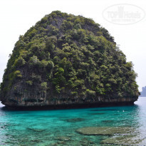 фото из отзыва ID 1181014