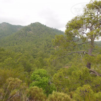 фото из отзыва ID 1181332