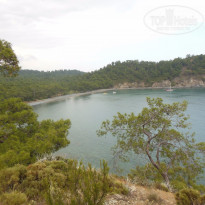 фото из отзыва ID 1181332