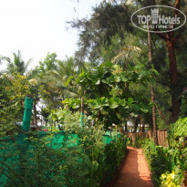 фото из отзыва ID 1181712