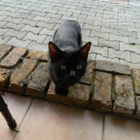 фото из отзыва ID 1181751