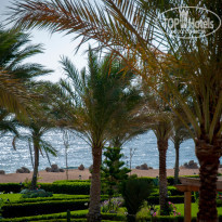 фото из отзыва ID 1182183