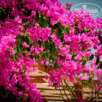 фото из отзыва ID 1182183