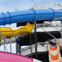 фото из отзыва ID 1182233