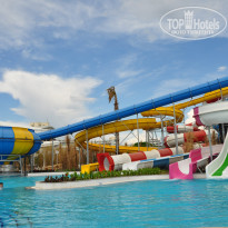 фото из отзыва ID 1182233