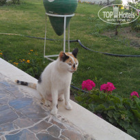 фото из отзыва ID 1182357