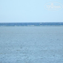 фото из отзыва ID 1182440