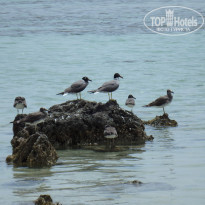 фото из отзыва ID 1182440