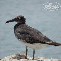 фото из отзыва ID 1182440