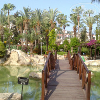 фото из отзыва ID 1182779