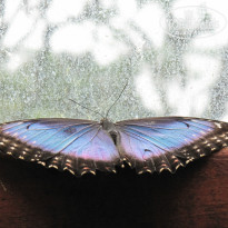 фото из отзыва ID 1180696