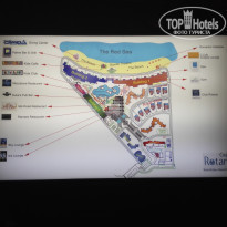 фото из отзыва ID 1182894