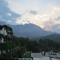 фото из отзыва ID 1182916