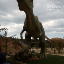 фото из отзыва ID 1182927