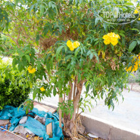 фото из отзыва ID 1183357