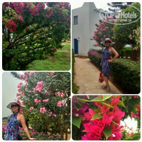 фото из отзыва ID 1183453