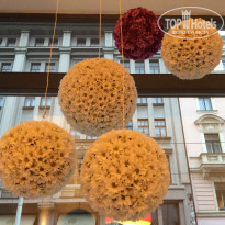 фото из отзыва ID 1183338