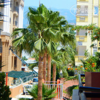 фото из отзыва ID 1183748