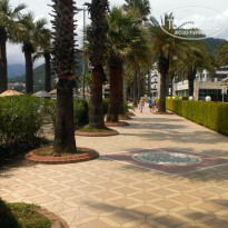 фото из отзыва ID 1183780