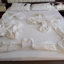 фото из отзыва ID 1183825