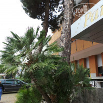 фото из отзыва ID 1183944