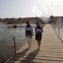 фото из отзыва ID 1183988