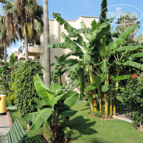 фото из отзыва ID 1184091