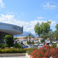 фото из отзыва ID 1184225