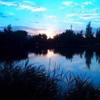 фото из отзыва ID 1184227