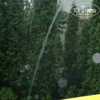 фото из отзыва ID 1181486