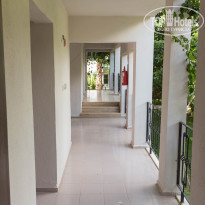 фото из отзыва ID 1184246