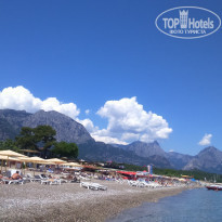 фото из отзыва ID 1184431