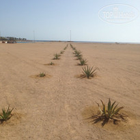 фото из отзыва ID 1184638