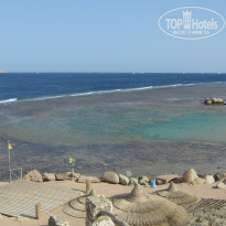 фото из отзыва ID 1184761