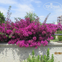 фото из отзыва ID 1184814