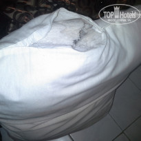 фото из отзыва ID 1184967