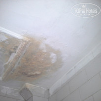 фото из отзыва ID 1184967