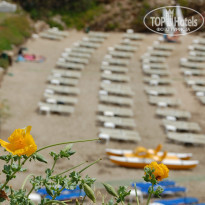 фото из отзыва ID 1185077