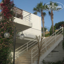 фото из отзыва ID 1185279