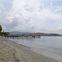 фото из отзыва ID 1185291